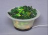 Schalenlampe mit Glasbrocken